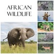 African Wildlife