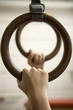 Gymnastic Rings
