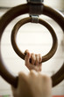 Gymnastic Rings