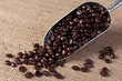 Coffee beans in a scoop