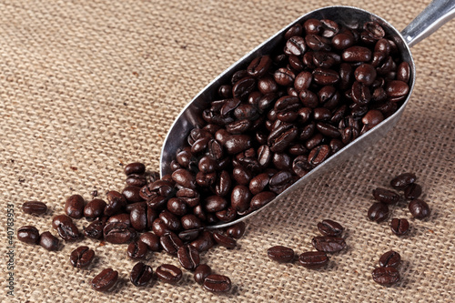 Photo: Coffee beans in a scoop Coffee beans in a scoop
