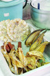 Fried Fish