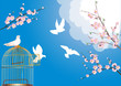 free doves and cherry tree flowers free doves and cherry tree flowers