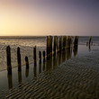 Decaying wooden posts on sandy beach