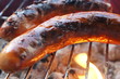 Grillen