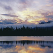Silhouette of trees reflected in still lake