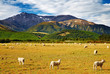 Mountain landscape