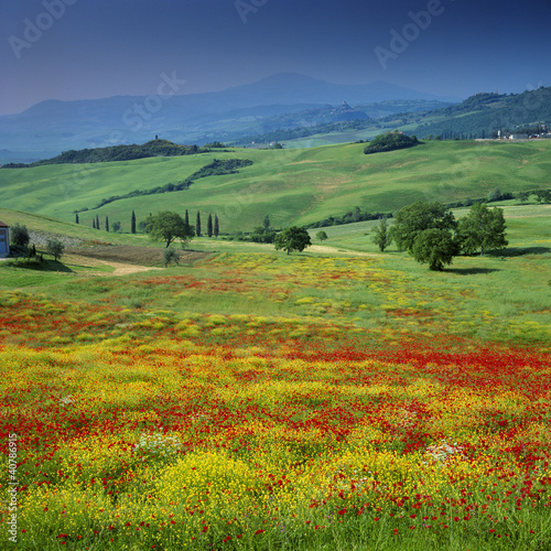 Photo: Rolling hills in rural landscape Rolling hills in rural landscape