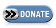 DONATE ICON