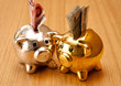 my rich piggy bank