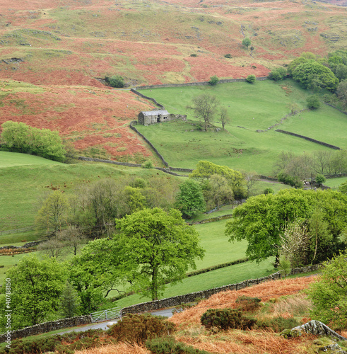 Foto: Trees and rolling hills in rural landscape Trees and rolling hills in rural landscape