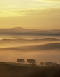 Rural landscape cloaked in fog