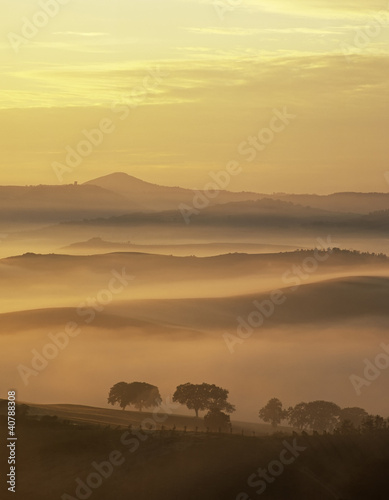 Foto: Rural landscape cloaked in fog Rural landscape cloaked in fog