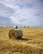 Haybales in field