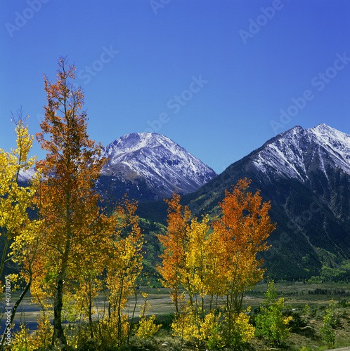 Photo: Autumn trees growing in rural landscape Autumn trees growing in rural landscape