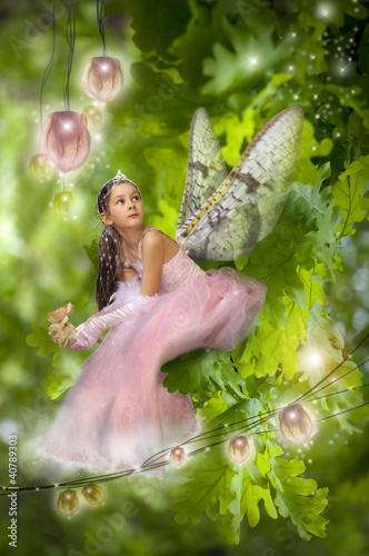 Photo: Little fairy in the wood Little fairy in the wood