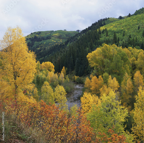 Photo: Autumn trees and hills in rural landscape Autumn trees and hills in rural landscape