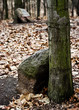 Tombstones at Jewish cemetery
