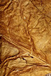Golden leaf texture