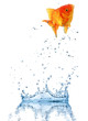 Jumping fish out of water, concept of challenge