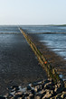 Am Deich von Vollerwiek, Nordfriesland