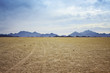 desert