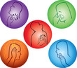 blowing nose-head in pain-teeth pain-throat pain
