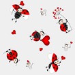 seamless pattern with cute ladybird - vector
