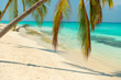 Tropischer Strand auf den Malediven Tropischer Strand auf den Malediven