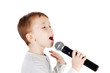 Singer
