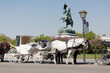 Fiaker in Wien
