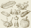 Hand-drawn set vegetables
