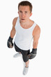 High angle view of standing boxer