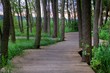 footbridge