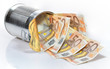 Dinero en conserva.
