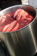 Pulpo