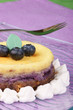 Blueberry cheese cake
