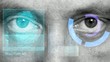 Identifikation