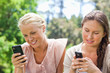 Friends writing text messages in the park