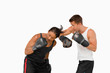 Side view of two fighting boxers