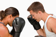 Side view of two boxers