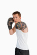 Boxer attacking