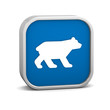 Bear sign