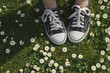 Sneakers and Mini Daisies