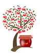 albero di ciliegio