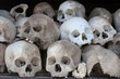 Skulls