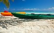 Paddle boats