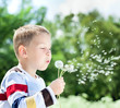 Beautiful Boy in the park blowing on dandelion