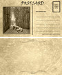 Vintage Empty Blank Motor Car Postcard Template Front Back