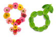 Gender simbols from plants Gender simbols from plants